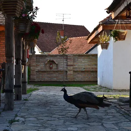 Motel Srpsko Andrejevo Selo Belgrade