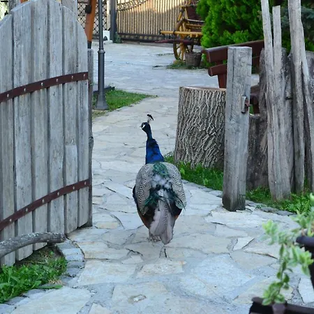 Srpsko Andrejevo Selo Motel *