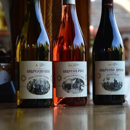 Srpsko Andrejevo Selo Motel