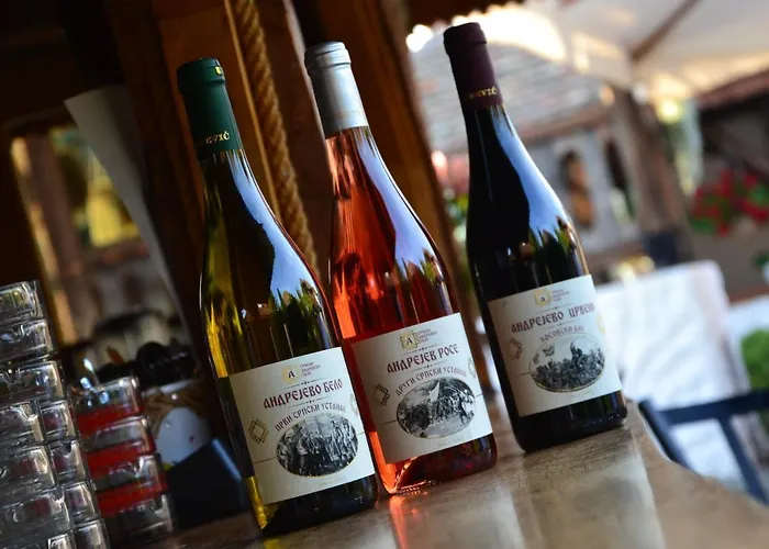 Мотель Srpsko Andrejevo Selo Белград